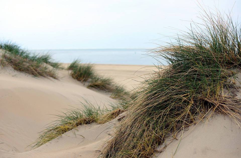 250829 Vakantie aan zee