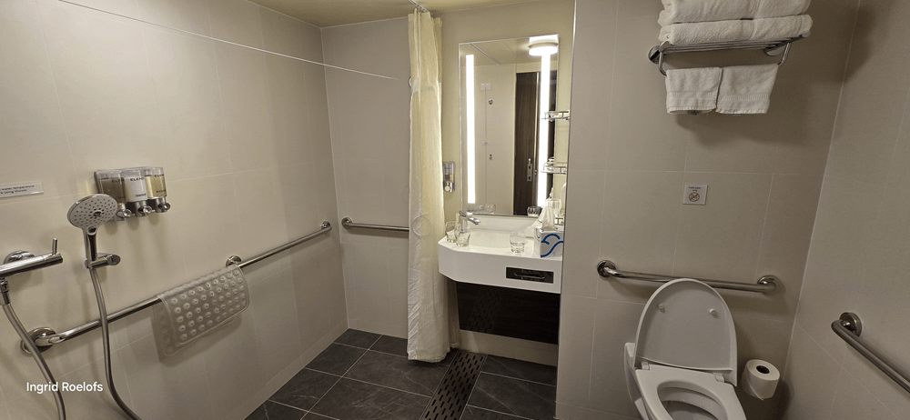 aangepaste badkamer